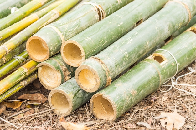 Cutting pipe of bamboo.