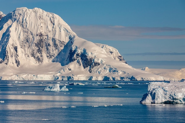 Cuverville-eiland in het Errera Channel Antarctica