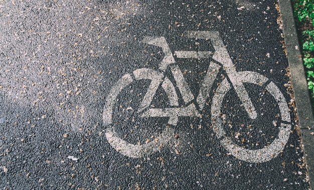 비 온 후 나무 사이의 자전거 도로