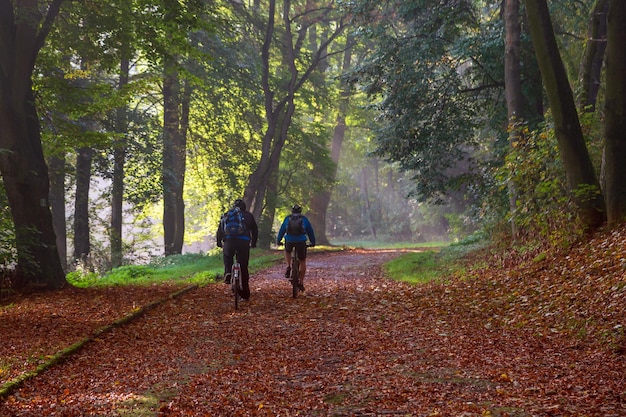 cycling in the autumn park