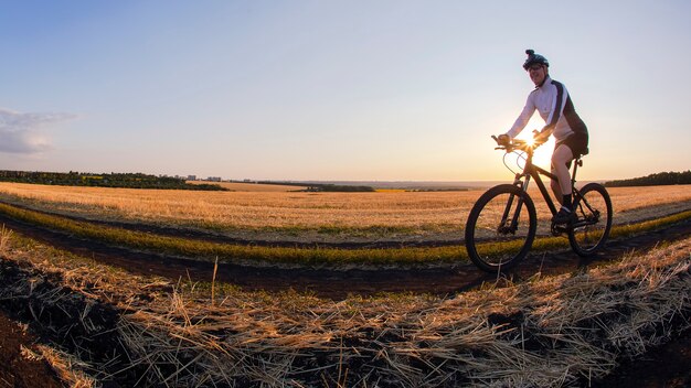 サイクリストは、夕日を背景にフィールド近くの道路を自転車で走ります。アウトドアスポーツ。健康的な生活様式。