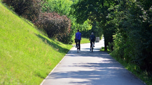 Photo cyclists ride down a road in the park