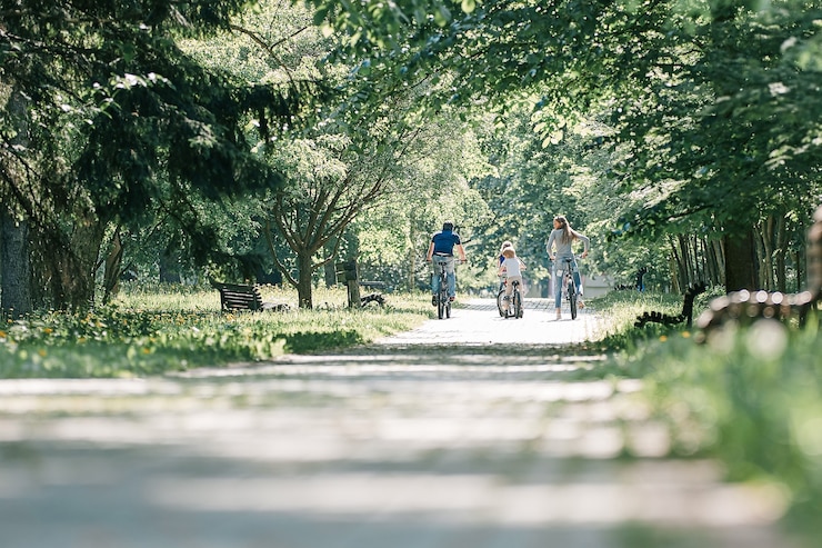 Photo 夏の日の公園の道路上のサイクリスト