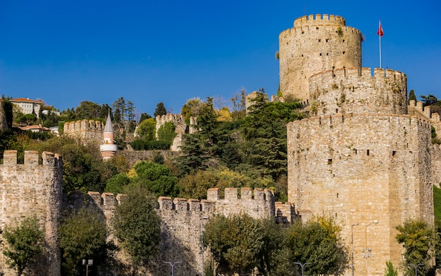 Цилиндрические башни Румелианского замка на европейском берегу Босфора в Стамбуле, Турция