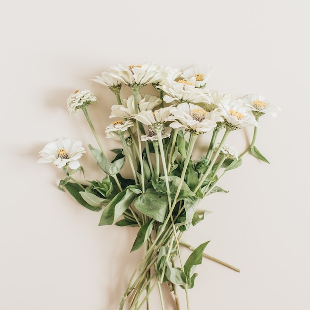 Cynicism flowers bouquet on beige surface