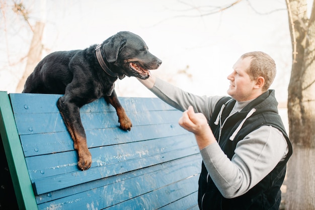 Cynologist training service dog on playground. proprietario con il suo animale domestico obbediente all'aperto, animale domestico bloodhound