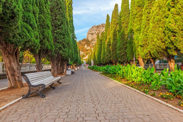 Cypress Alley in Simeiz City Park