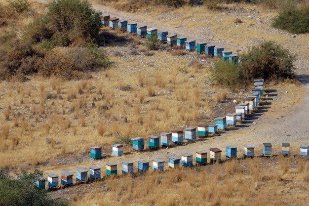 CYPRUS, GREECE, EUROPE - JULY 21 : Two lines of beehives in Cyprus on July 21, 2009