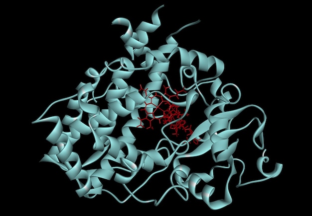 Photo cytochrome p450 molecule cyp 3a4 molecular model 3d rendering illustration