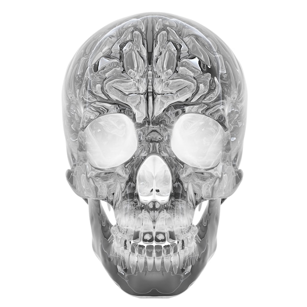 Photo d illustration of crystal skull  isolated on a white background