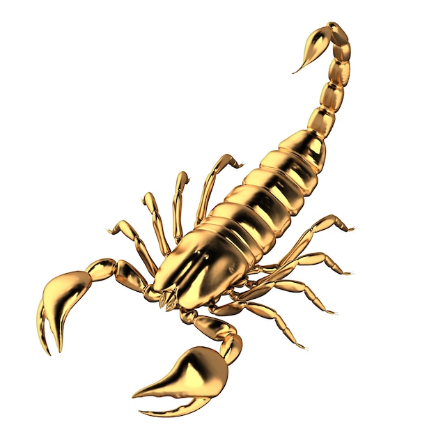 Photo d illustration of gold scorpion on white background