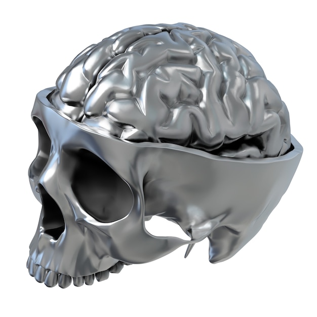 D illustration of the metallic skull with brain on white background