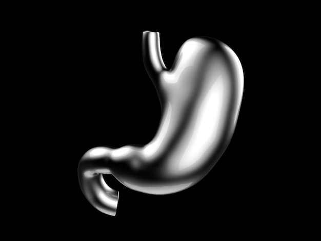 Фото d иллюстрация человеческого желудка из металла