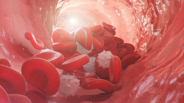 D illustrazione dei globuli rossi all'interno di una vena arteriosa il flusso di sangue all'interno di un organismo vivente concetto microbiologico scientifico e medico arricchimento con ossigeno e importanti nutrienti