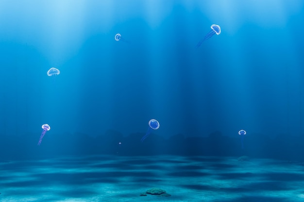 D render illustration of jellyfish floating in ocean