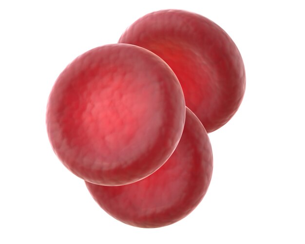 D render of red blood cells isolated on white