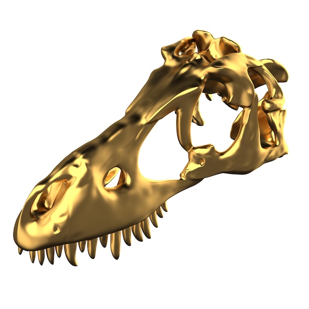 D render di tyrannosaurus rex teschio d'oro isolato su bianco