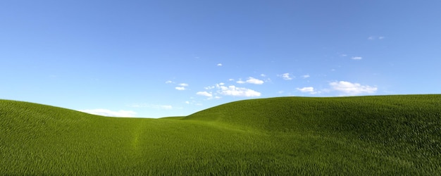 Photo d rendering image of a green field of grass and a bright blue sky artificial grass panorama of green