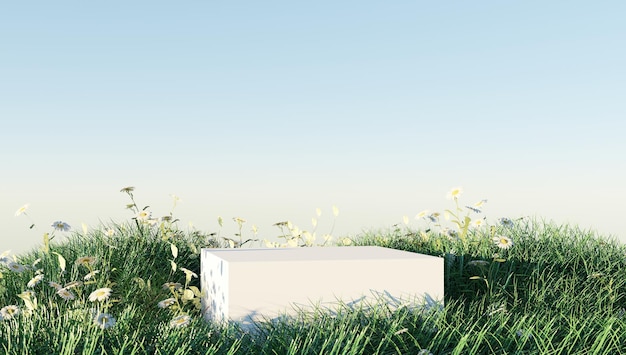 D rendering of stone podium and grass