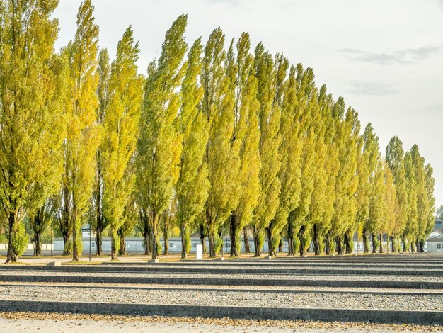 Campo di concentramento di dachau in germania