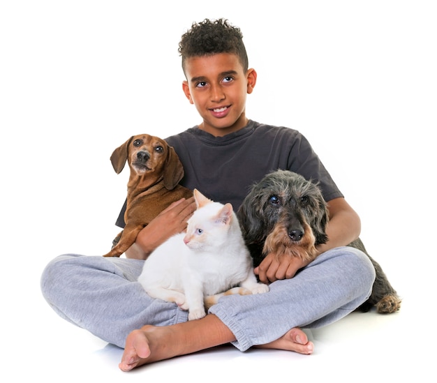 dachshunds, kitten and boy