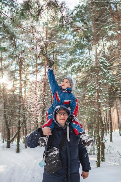 Dad carries his little son on shoulders so that he can reach the branch and shake snow off the tree