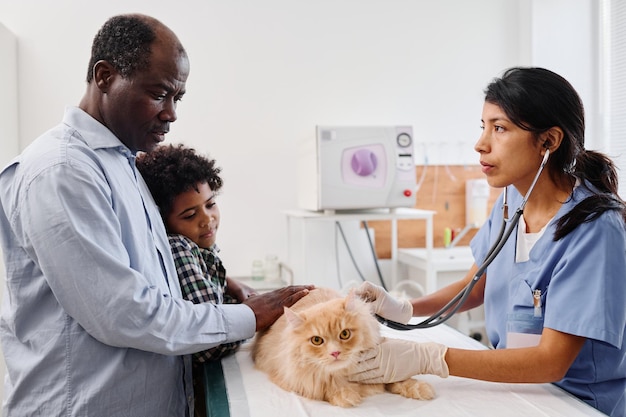 Dad and son comforting cat at vets