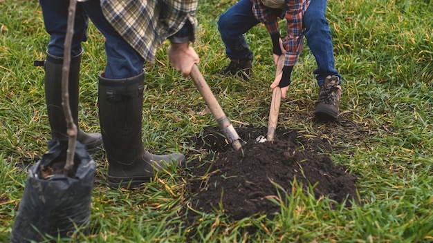 The dad and son planting a tree