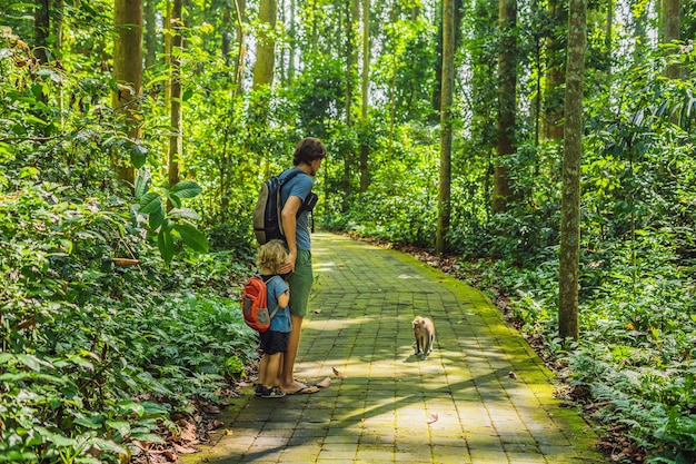 Dad and son travelers discovering Ubud forest in Monkey forest Bali Indonesia Traveling with children concept