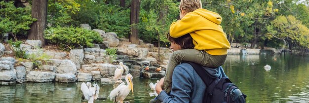 池のバナーの長い形式でペリカンを見ているお父さんと息子