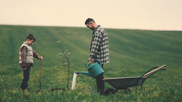 Папа и сын поливают новое дерево