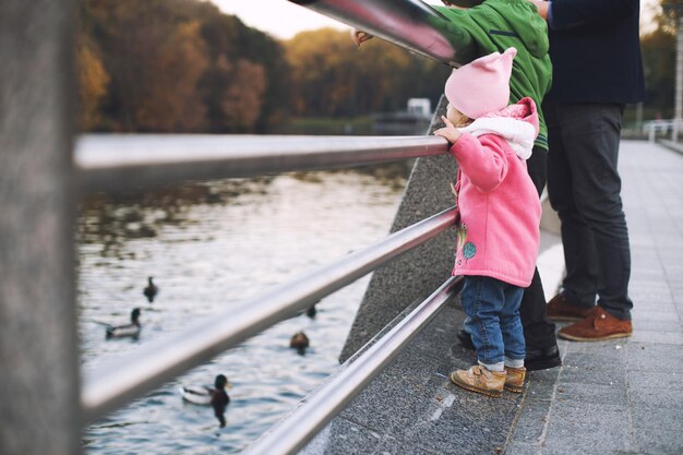 Papà con i bambini passeggia nel parco e dà da mangiare alle anatre