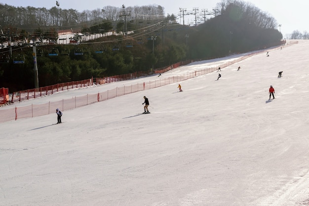 Daemyung Vivaldi Park skigebieden, attracties, beroemd en populair in Korea