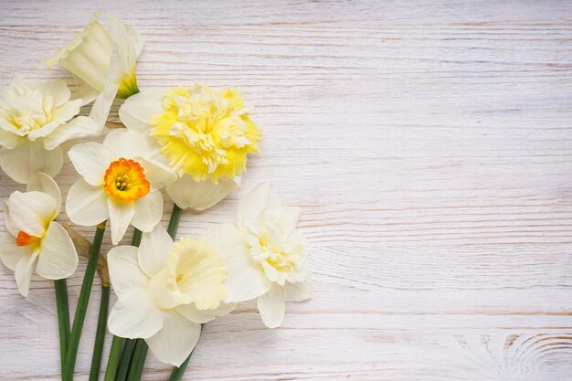 Daffodil flowers on a wooden light background place for text top view