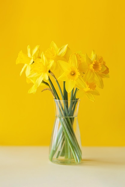 Daffodils flowers standing in a transparent vase against yellow wall