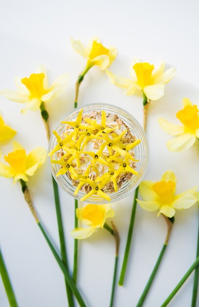 daffodils flowers on table