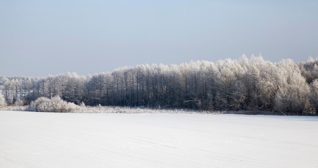 dag in de winter