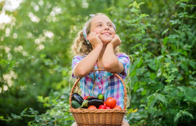 Dagdromer gelukkig kleine boer herfst oogst gezond voedsel voor kinderen kind op zomer boerderij Biologisch voedsel oogst vitamine lente markttuin meisje groente in mand Alleen natuurlijk