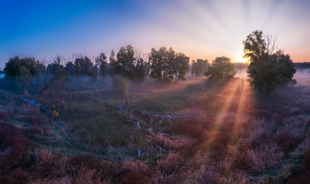 Dageraad boven de weide Een prachtig zomers landschap Drone-weergave Ochtendmist