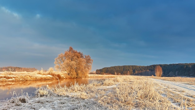 Dageraad op de oever van de winter Vorst op grasriet Besneeuwde landelijke weg Januari bos rivier zonsopgang Koud weer landschap reflectie in het water