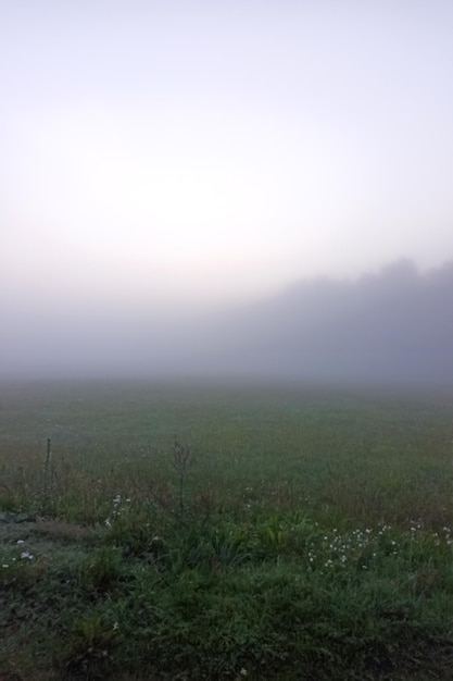 Dageraad op een mistige ochtend boven een groen veld