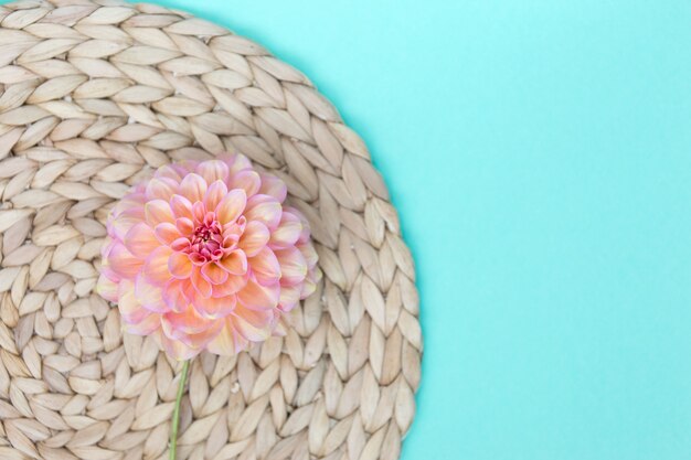 Салфетка ручной работы из розового цветка георгина и водного гиацинта на синем бумажном фоне