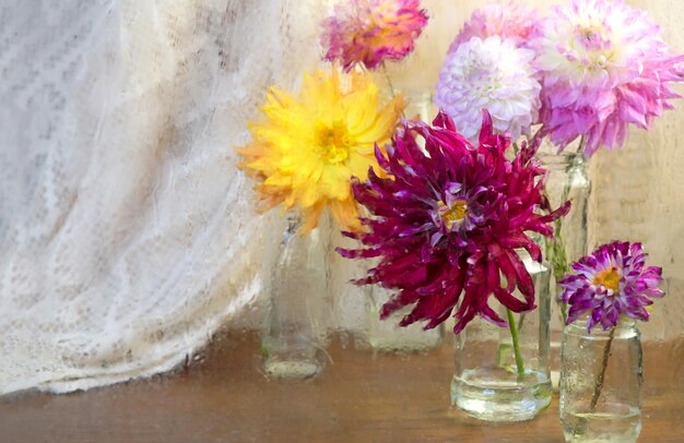 Dahlia's in glazen op een houten tafel Bekijken door natte regenachtige windowPink witte Dahlia bloemen bovenaanzicht Kleurrijke dahlia bloemen mix wallpaper achtergrond