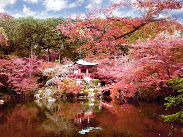 Daigo-ji tempel met kleurrijke esdoorns in de herfst, Kyoto, Japan