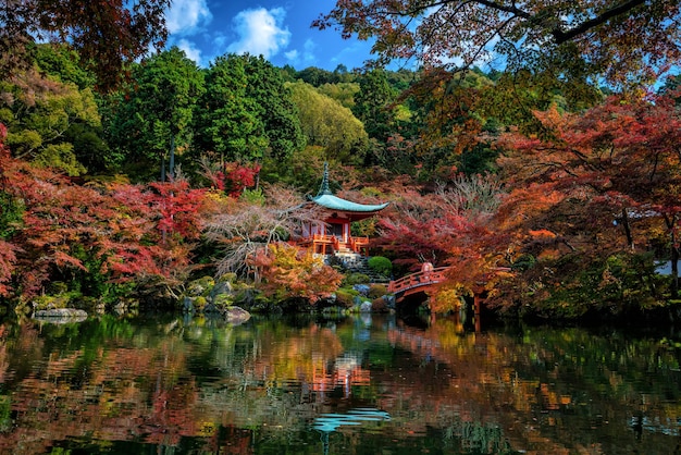 京都の秋に色とりどりのカエデの木がある醍醐寺