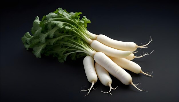 Daikon radish