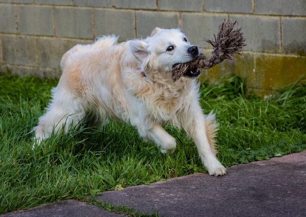 Daily scenes of our pets!