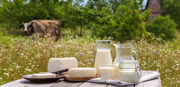 Dairy products on a cow farm Selective focus Food