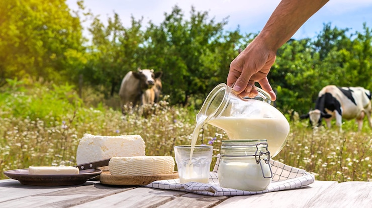 Фотография молочные продукты на коровьей ферме селективное внимание еда