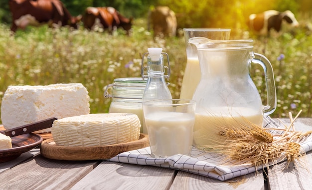 Dairy products on a cow farm Selective focus Food